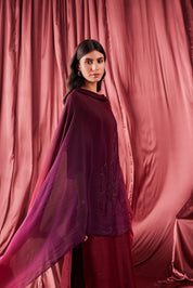 Hamsini Kurta Set