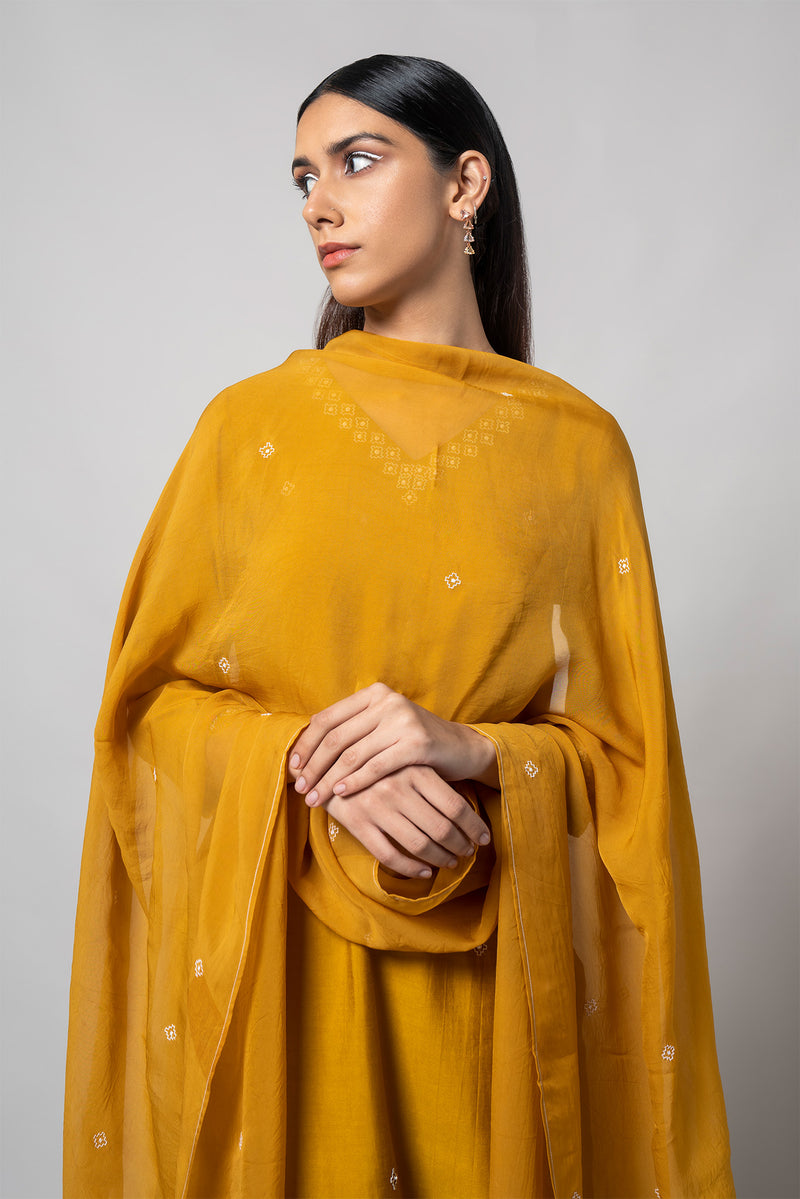 Satin Sheen Gold Silk Kurta Set - House of Ayuda