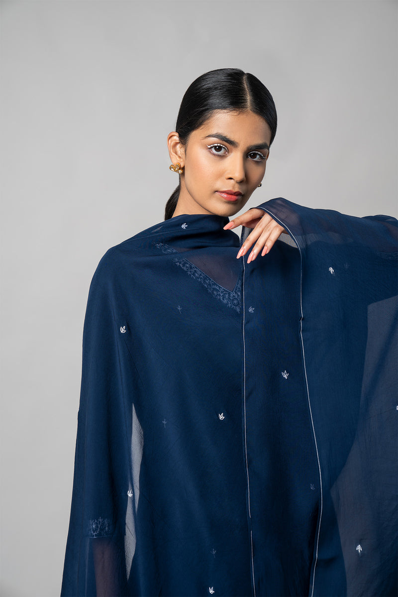 Zodiac Blue Silk Kurta Set - House of Ayuda