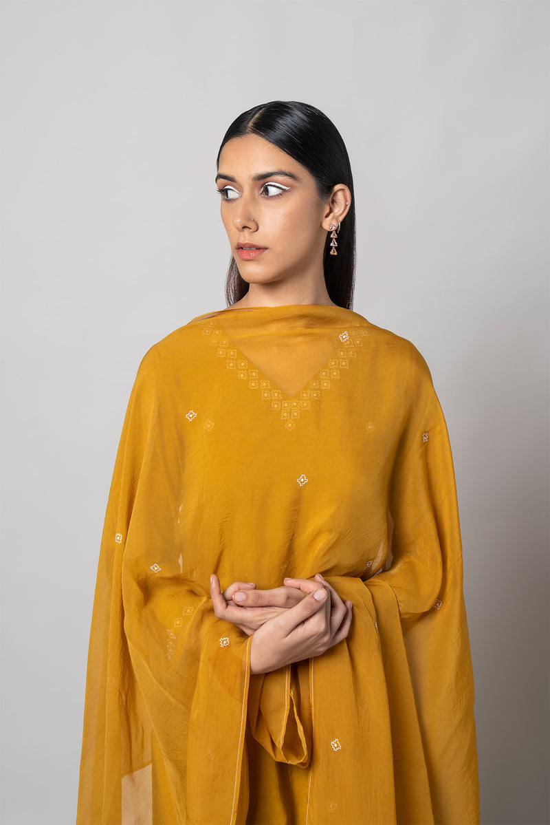 Satin Sheen Gold Silk Kurta Set - House of Ayuda