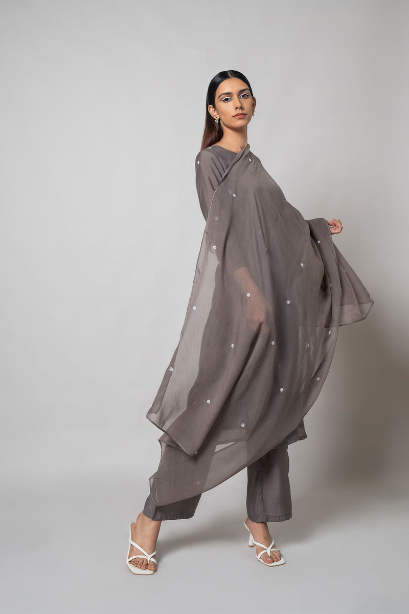 Davy Grey Silk Kurta Set - House of Ayuda